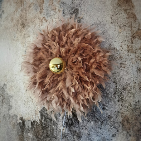 Applique murale plumes vieux rose