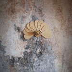 Applique murale paon 11 pétales en rotin et raphia