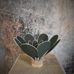 Lampe à poser fleur en rotin et lin vert sapin