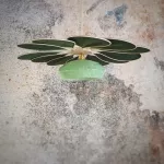 Suspension fleur, Pâquerette, 12 pétales en rotin et lin vert sapin et globe vintage en verre de Clichy vert